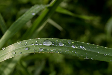 Similar image 22248773