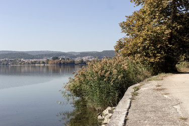 Similar image 22248774