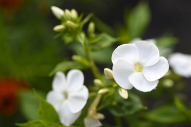 Similar image 22254272