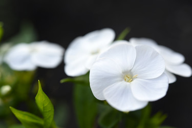 Similar image 22254273