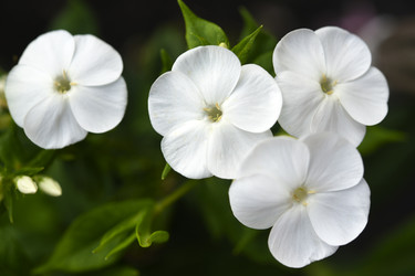 Similar image 22254274