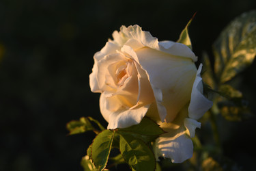 Similar image 22255073