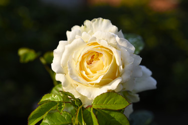 Similar image 22255075