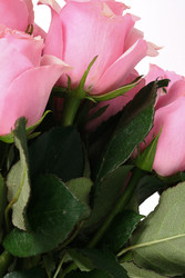 Similar image 22259164