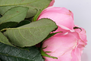 Similar image 22259166