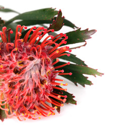 Similar image 22254852