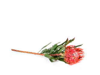 Similar image 22259177