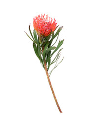 Similar image 22259178