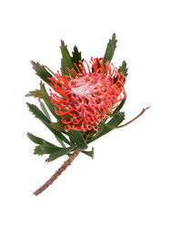 Similar image 22259179