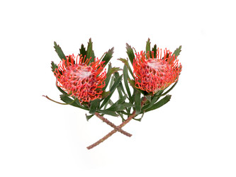 Similar image 22259180