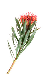 Similar image 22259181