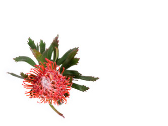 Similar image 22259182