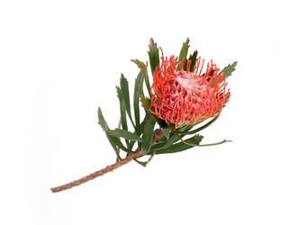 Similar image 22259183