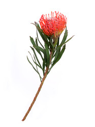 Similar image 22259185