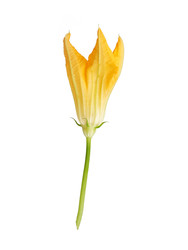 Similar image 22255035