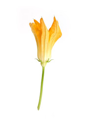 Similar image 22255037