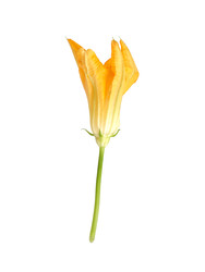 Similar image 22255038