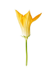 Similar image 22255040