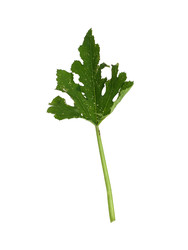 Similar image 22255041