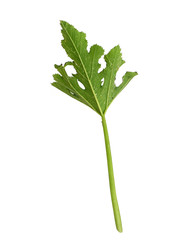 Similar image 22255042