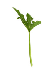 Similar image 22255043