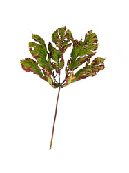 Similar image 22255045