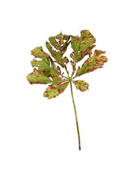 Similar image 22255046