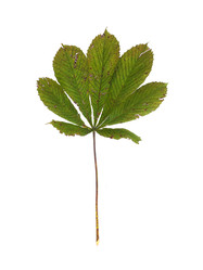 Similar image 22255047