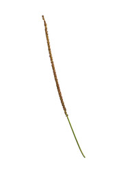 Similar image 22255050