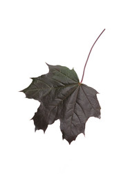 Similar image 22271611