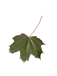 Similar image 22271612