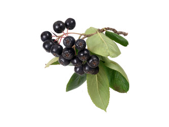 Similar image 22271615