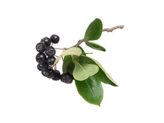 Similar image 22271616