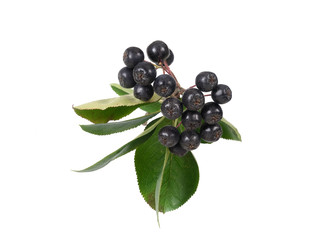 Similar image 22271617