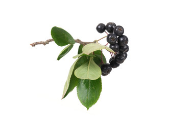 Similar image 22271995