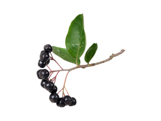 Similar image 22271996