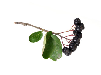 Similar image 22271997