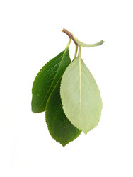 Similar image 22254401