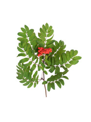 Similar image 22254403