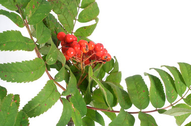 Similar image 22254404