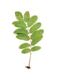 Similar image 22254405