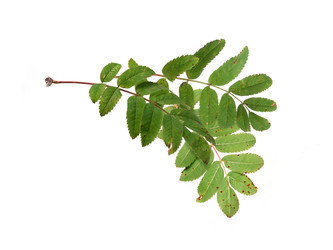 Similar image 22254406