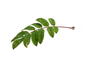 Similar image 22254407