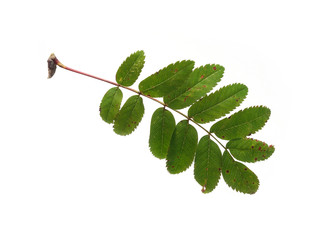 Similar image 22254408