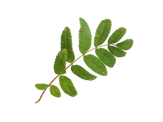 Similar image 22254409