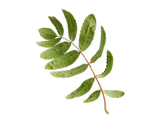 Similar image 22254410