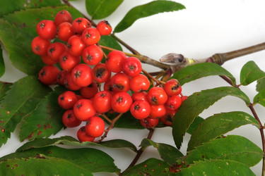 Similar image 22254411