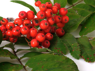 Similar image 22254665