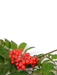 Similar image 22254666