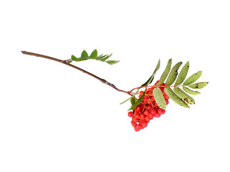 Similar image 22254667